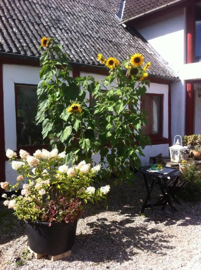 Praestogaard Acomodação com café da manhã Exterior foto